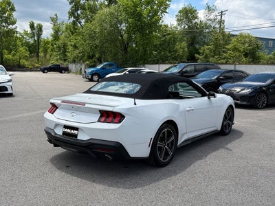 2024 Ford Mustang EcoBoost Premium CLEAN CARFAX