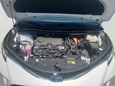 2025 Toyota Sienna XSE 7 Passenger