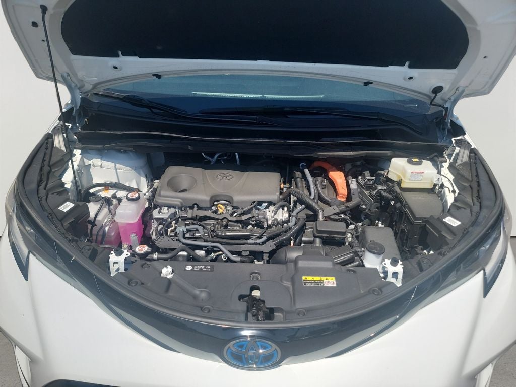 2025 Toyota Sienna XSE 7 Passenger